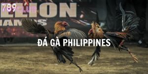 Đá Gà Philippines